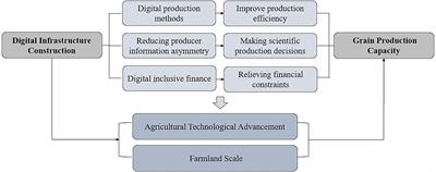 Leveraging digital infrastructure for sustainable grain production: evidence from China